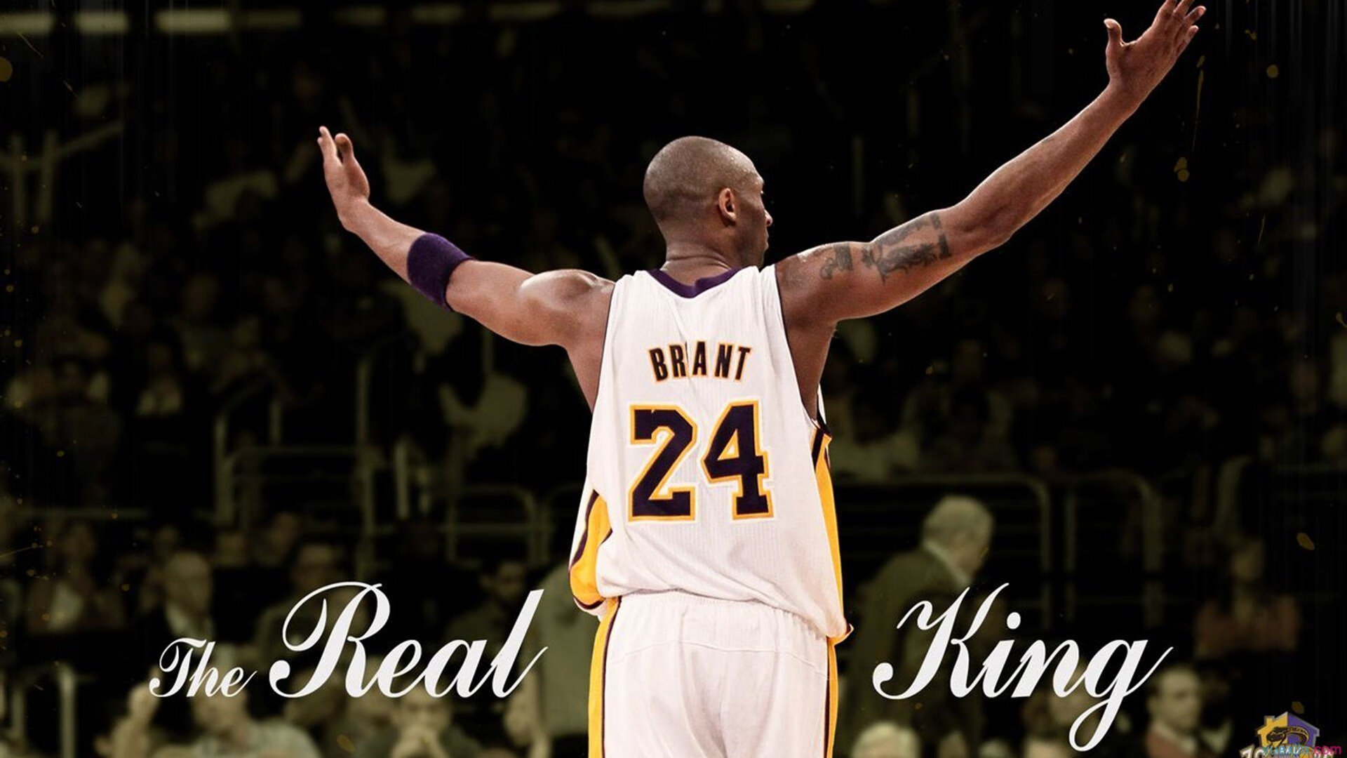 【比赛精彩片段】逆境中坚韧不拔的运动员战术应用集锦，运动员战术能力定义