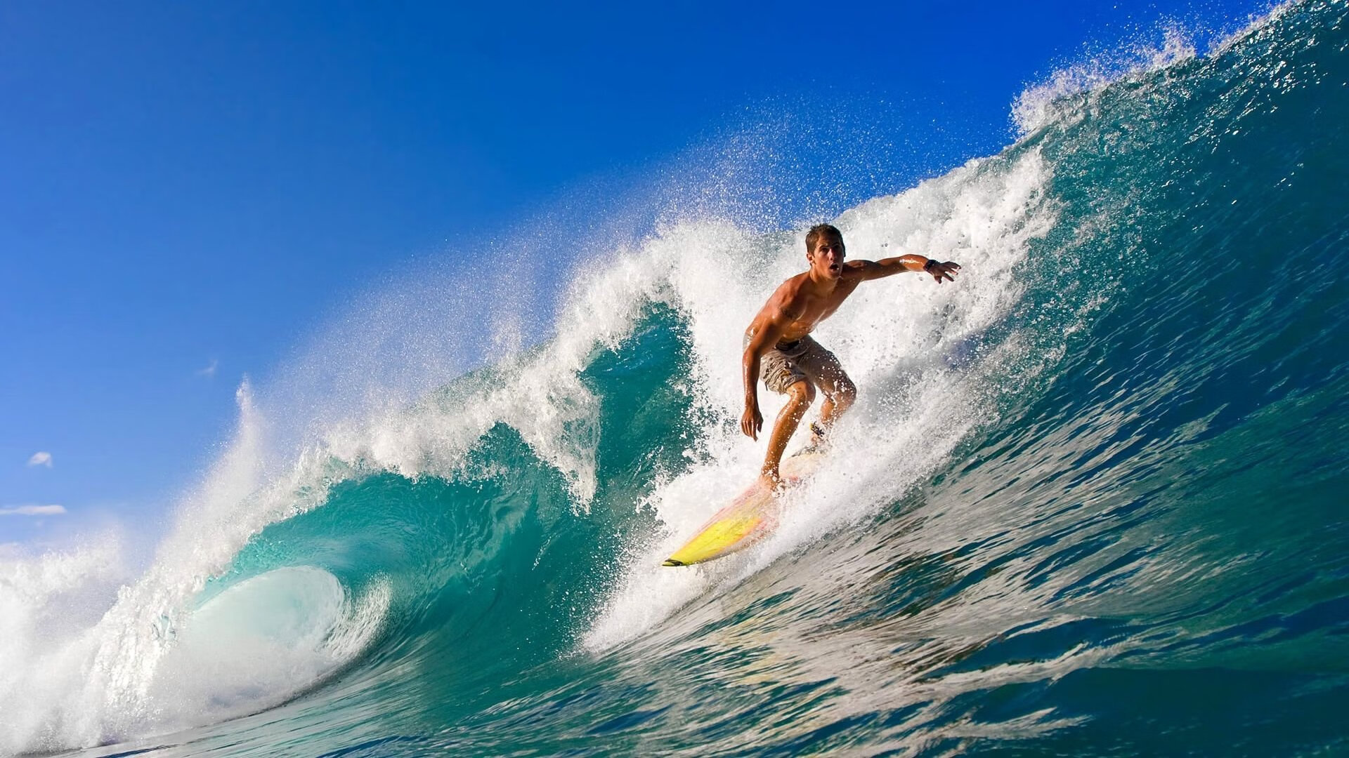 开云体育下载-全国青少年“绿色生活”体育行动在杭州落地，多项绿色运动普及